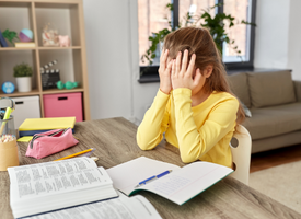 executive function skills