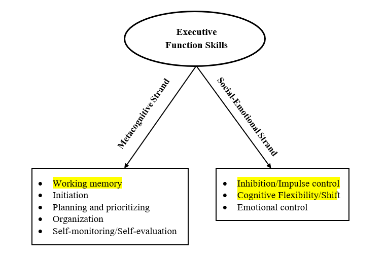 graphic explaining the two core strands of executive functions